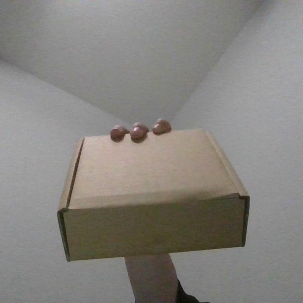 Surprise fidget box
